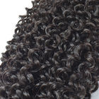 Kroezige Krullende Maleise Haaruitbreidingen/Onverwerkte Maagdelijke Haarbundels